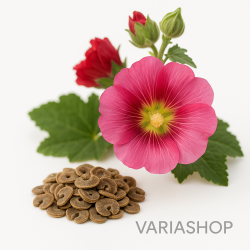 Graines de Rose Trémière –...