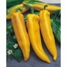 Poivron Corne de Taureau Jaune