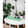 Le Panda Flûtiste Porte-Encens