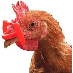 LUNETTES ANTI-POULES...