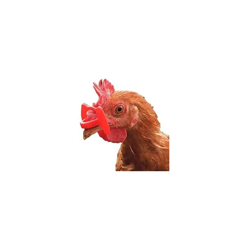 LUNETTES ANTI-POULES CASSEUSES D'ŒUFS