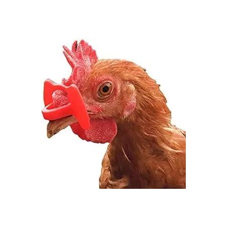 LUNETTES ANTI-POULES CASSEUSES D'ŒUFS